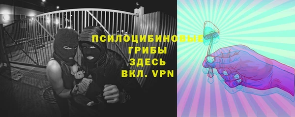 apvp Белокуриха