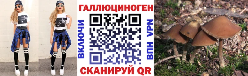 mega   Горнозаводск  Псилоцибиновые грибы Psilocybe  как найти закладки 